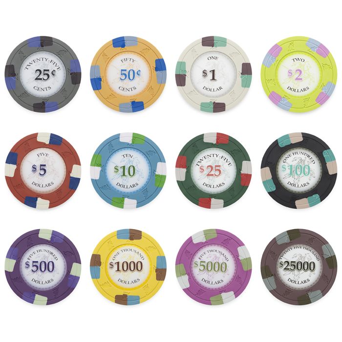 Poker Knights 500 Poker Chip Set W/ Aluminum case