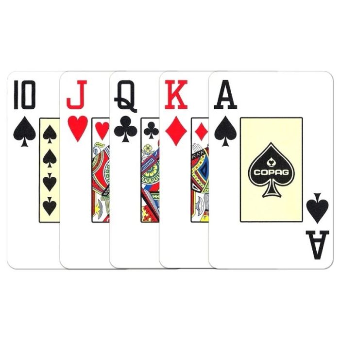 Copag Script Design 100% Plastic Playing Cards – Red/Blue Bridge Jumbo Index 2-Deck Leather Case Set