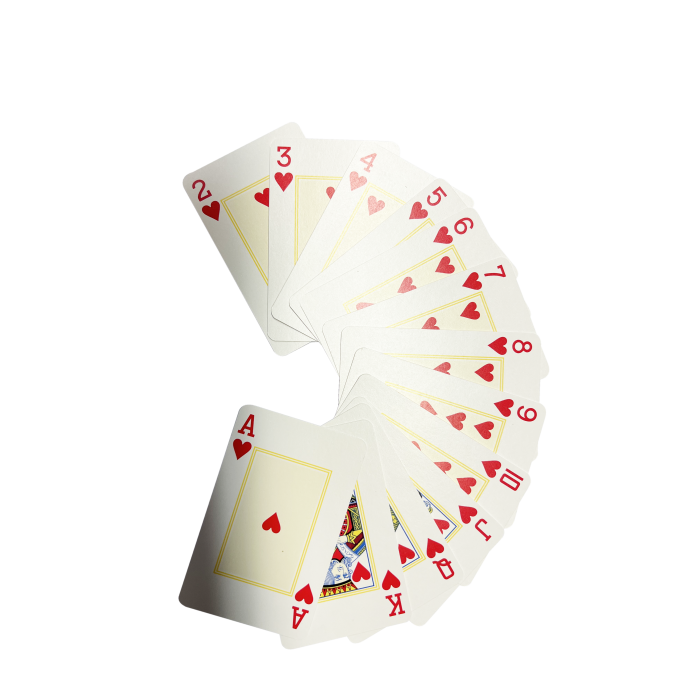 Copag Dunga Bridge Size Paper Playing Cards – 144 Decks 
